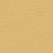 Tan leather texture with irregular grain pattern, matte finish, and subtle wrinkles; color code “col. 225” imprinted in lower right.